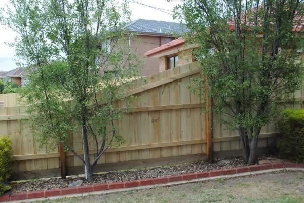 Timber Fence Mentone